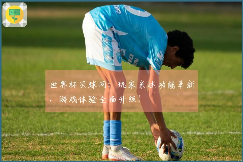 世界杯买球网：玩家亲述功能革新，游戏体验全面升级！